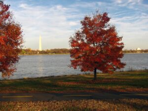 Best Places In The U.S. To Spend Thanksgiving Weekend - Morrissey ...